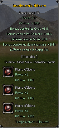 %C3%A9b%C3%A8ne%20%C3%A9p%C3%A9e%202-55c2a6.png