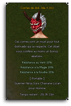 coiffe_zozo-18e5cd.png