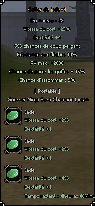 collier%20griffe-2abf5f.png