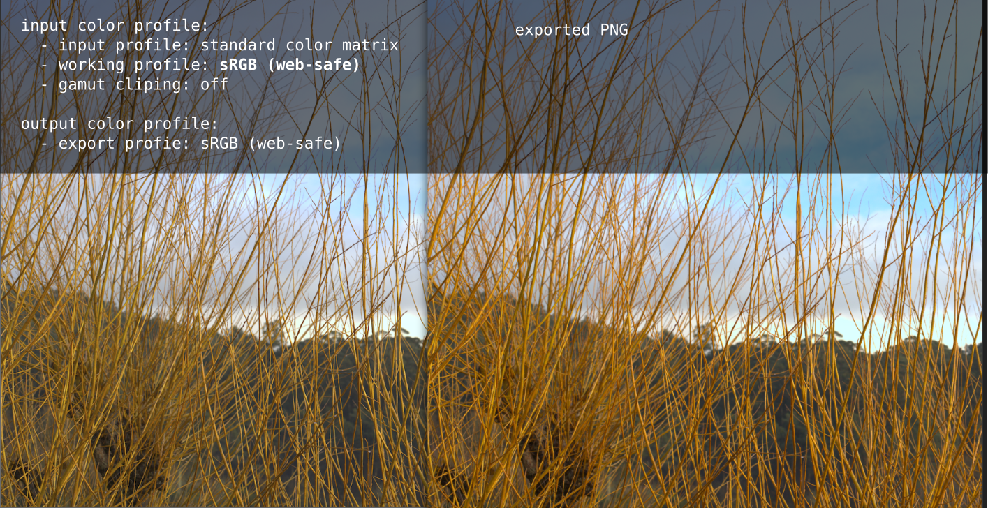 Using the sRGB working profile