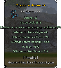 shoes%20r%C3%A9sist%20dc%201.2-c8696e.png