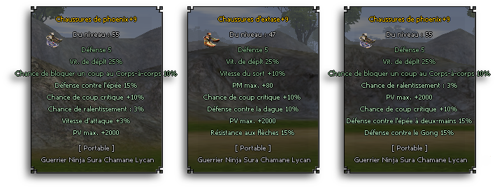 shoes1.3-47dcb1.png